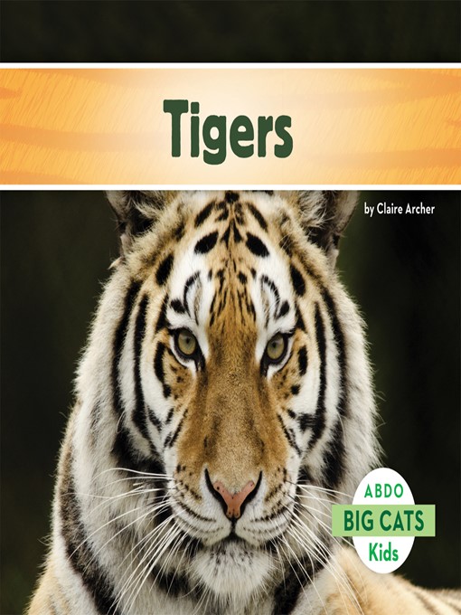 Title details for Tigers by Claire Archer - Available
